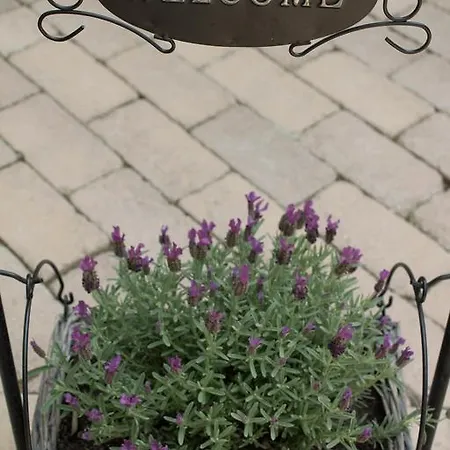 Pensionat Silver Garden