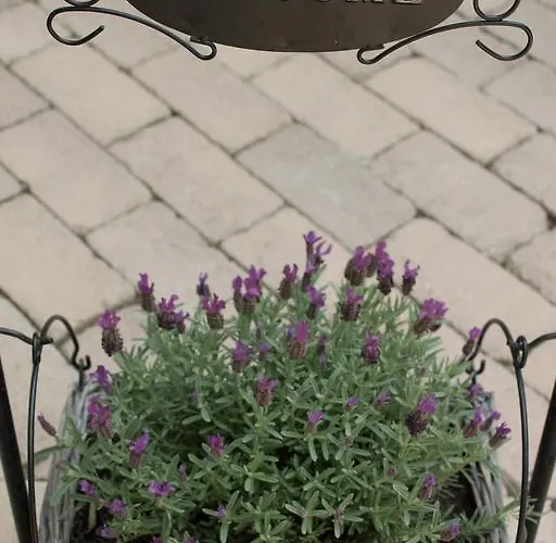 Affittacamere Silver Garden